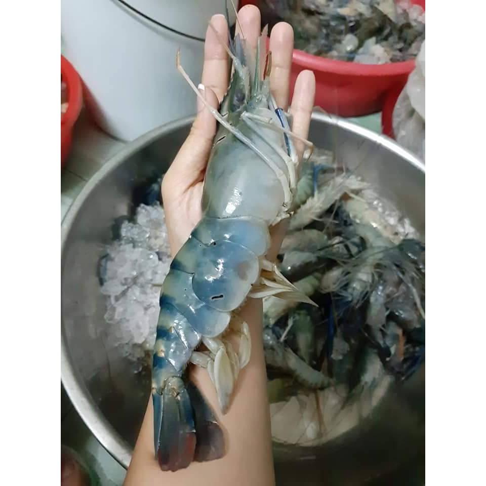Bánh phồng tôm cao cấp hiệu TRANG ANH TUẤN loại 1 với 70% tôm càng xanh tươi - Đặc sản Sa Đéc