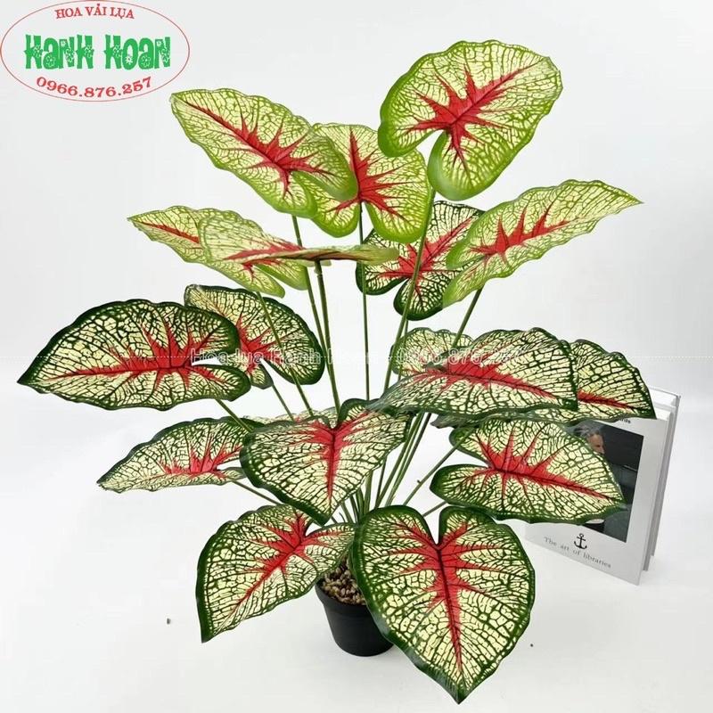 CÂY 18 LÁ CÁC LOẠI (MONSTERA, CHUỐI, LÁ MÔN,..) CAO 80CM- CÂY GIẢ DERCOR