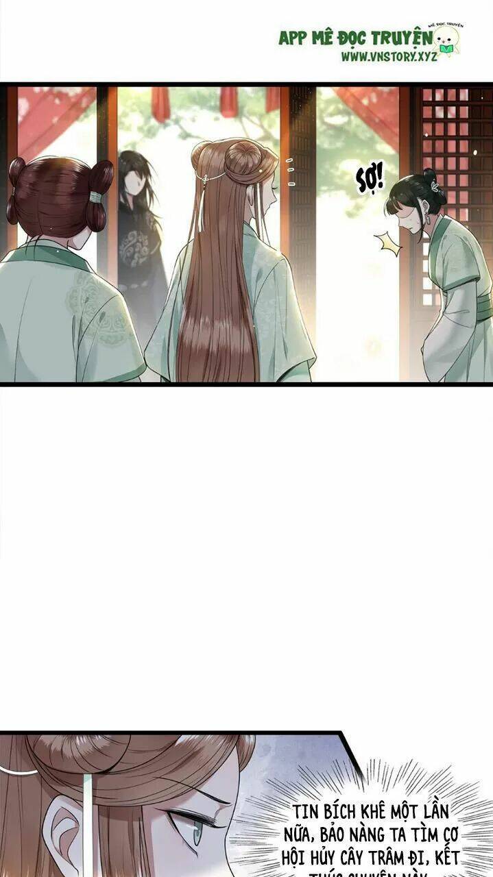 phượng hoàng vu phi chapter 43 6