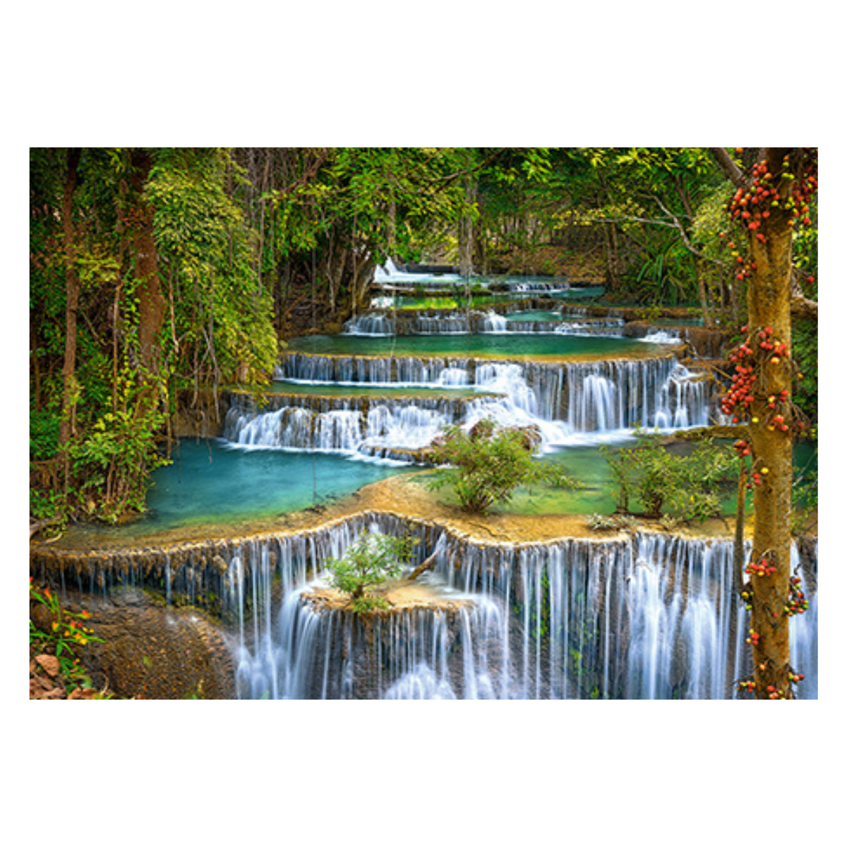 Xếp hình puzzle The Cascade 1000 mảnh CASTORLAND C-103782