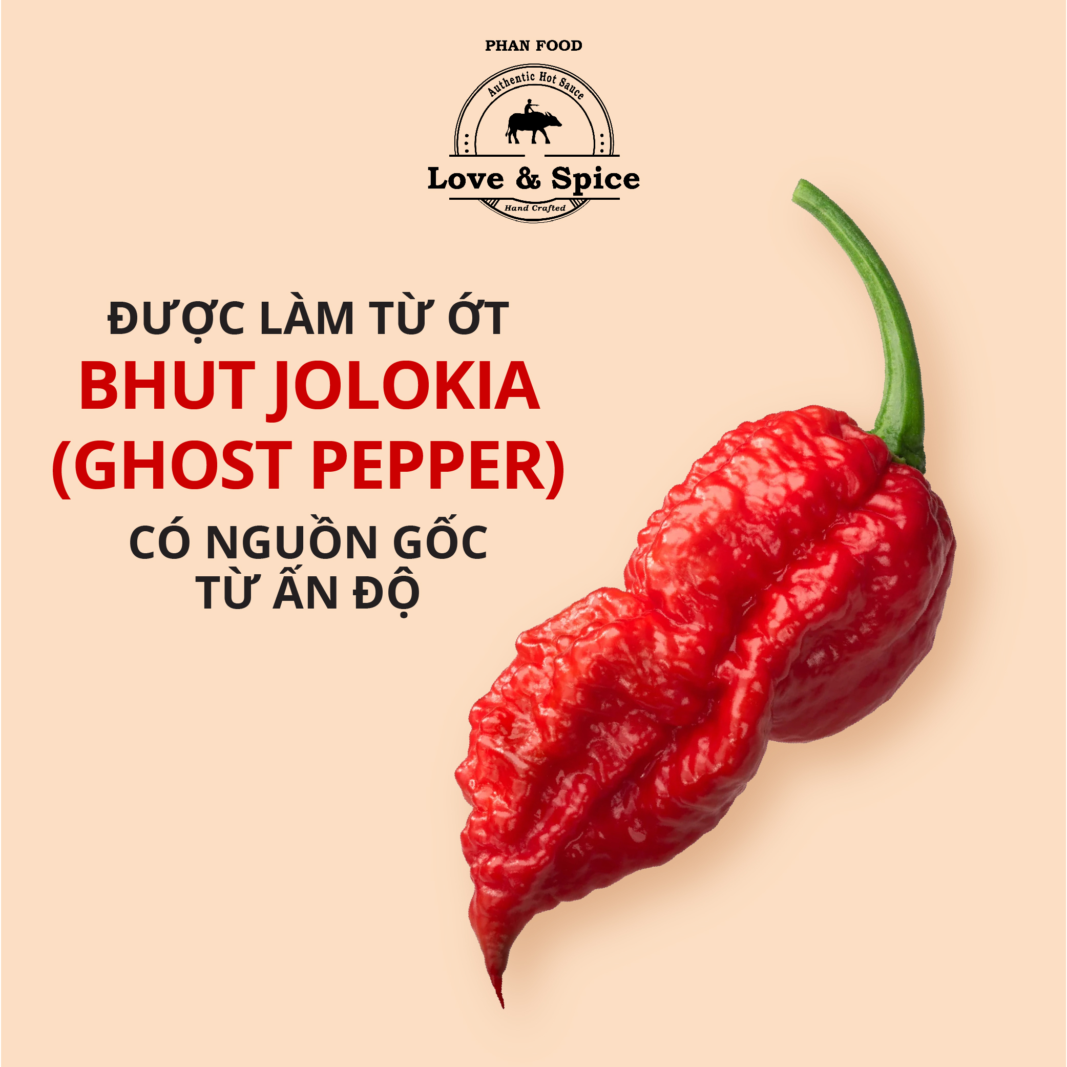 CAY NHƯ QUỶ - Combo 12 chai tương ớt siêu cay Love & Spice lên men tự nhiên từ ớt Ghost Pepper chai 120ml x 12