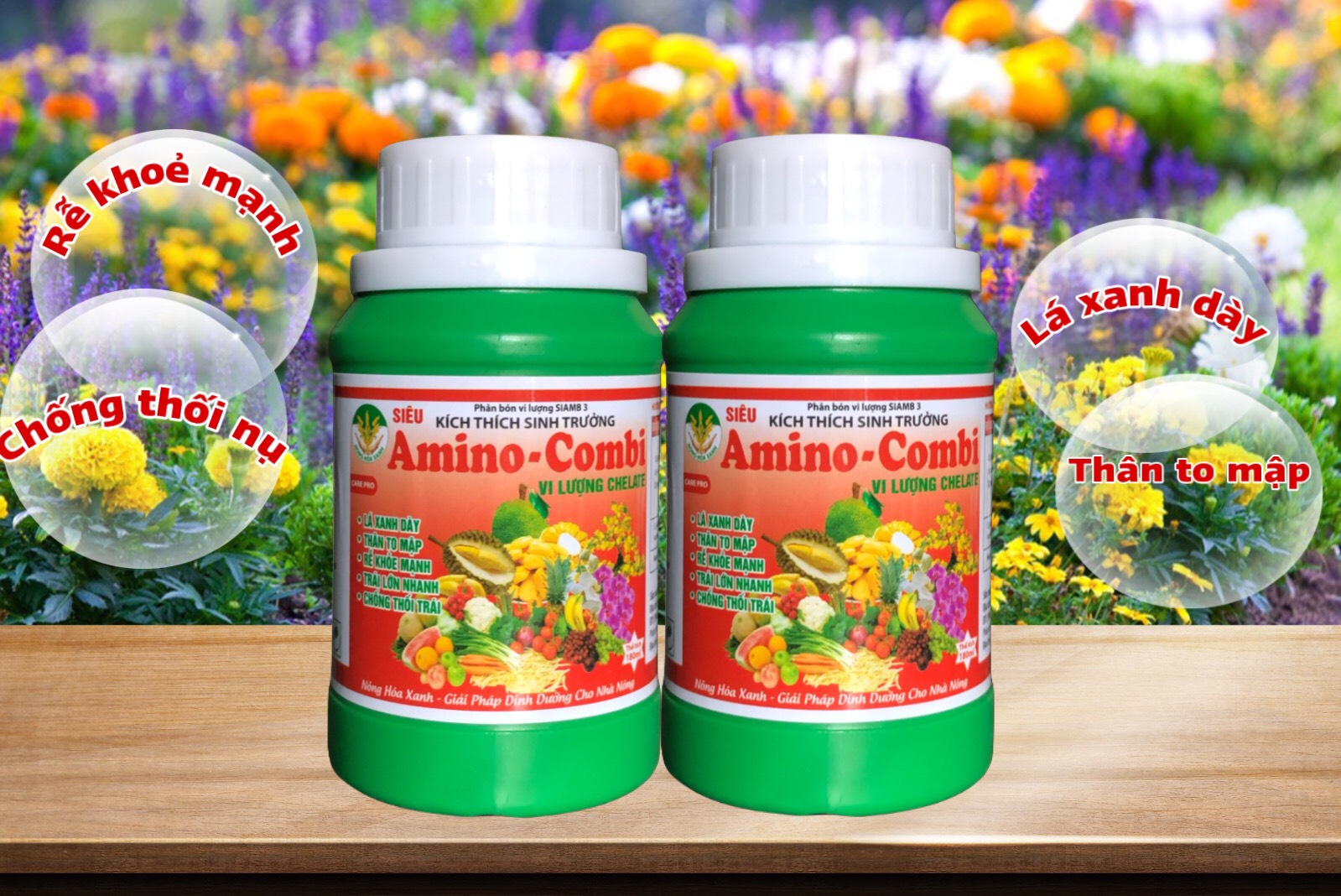 AMINO COMBI – LÁ TO, DÀY, THÂN TO, MẬP, TRÁI LỚN NHANH, CHỐNG THỐI TRÁI 