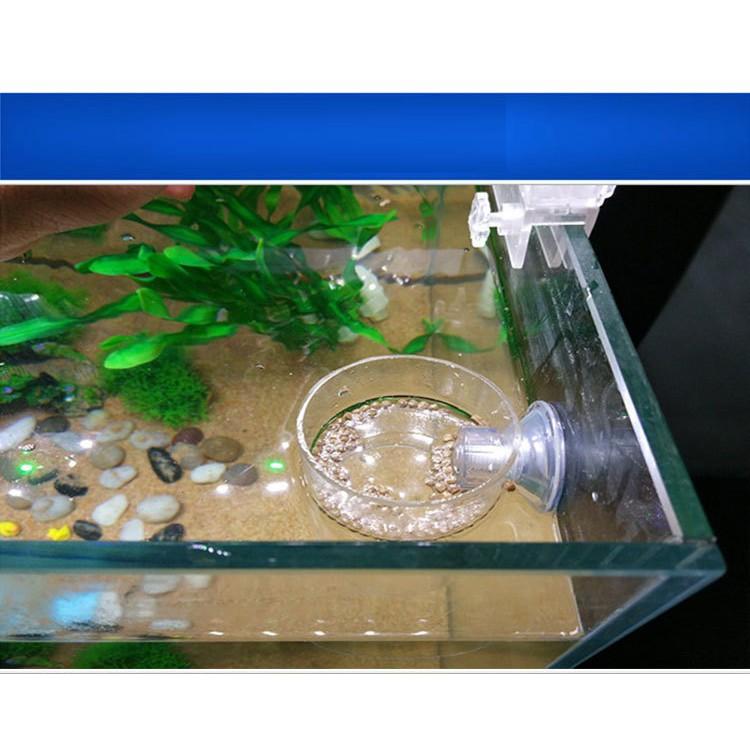 Vòng Giữ Thức Ăn Acrylic - Vòng Ăn Trong Suốt Cho Cá Cảnh