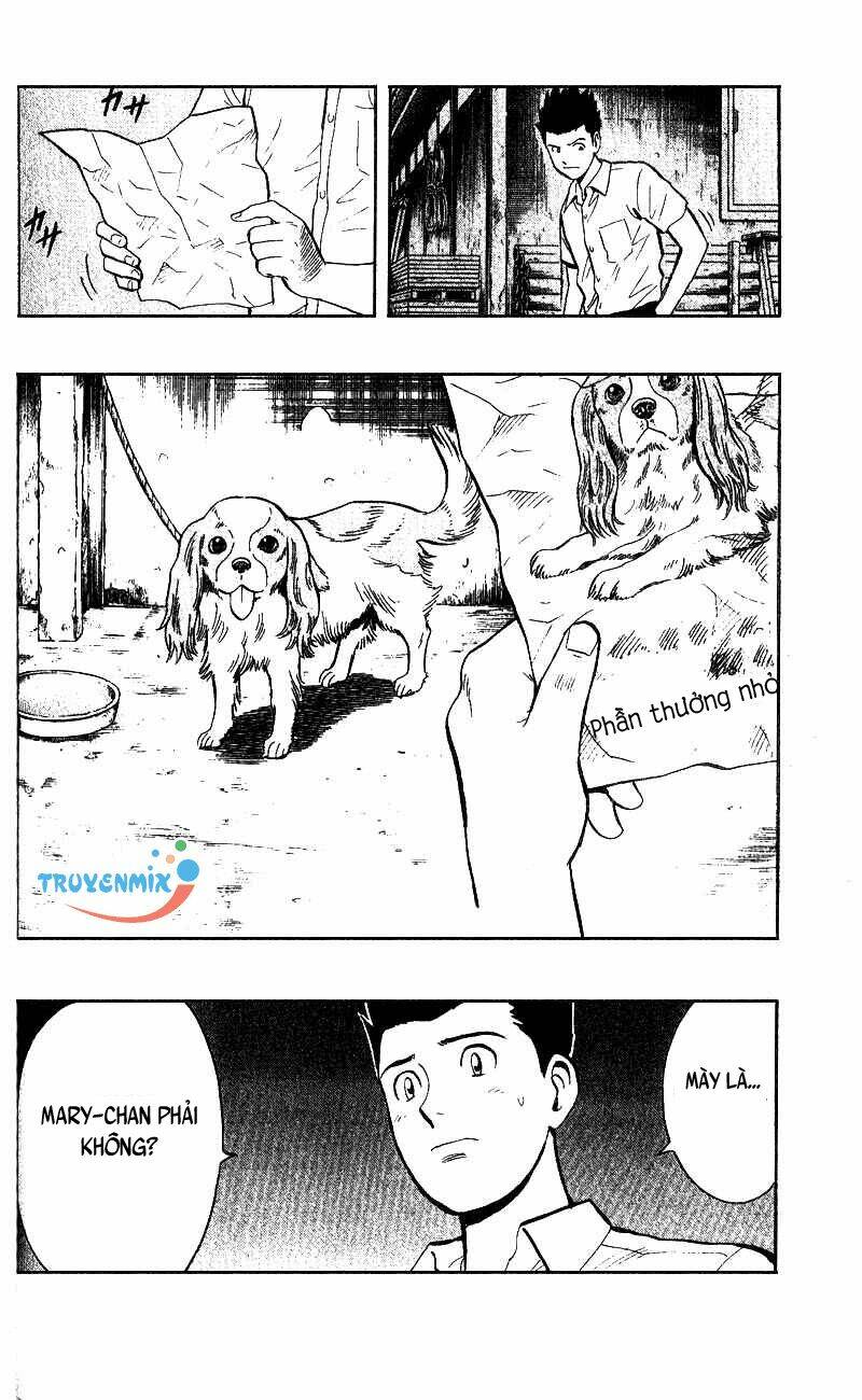 animal sense chapter 2 41