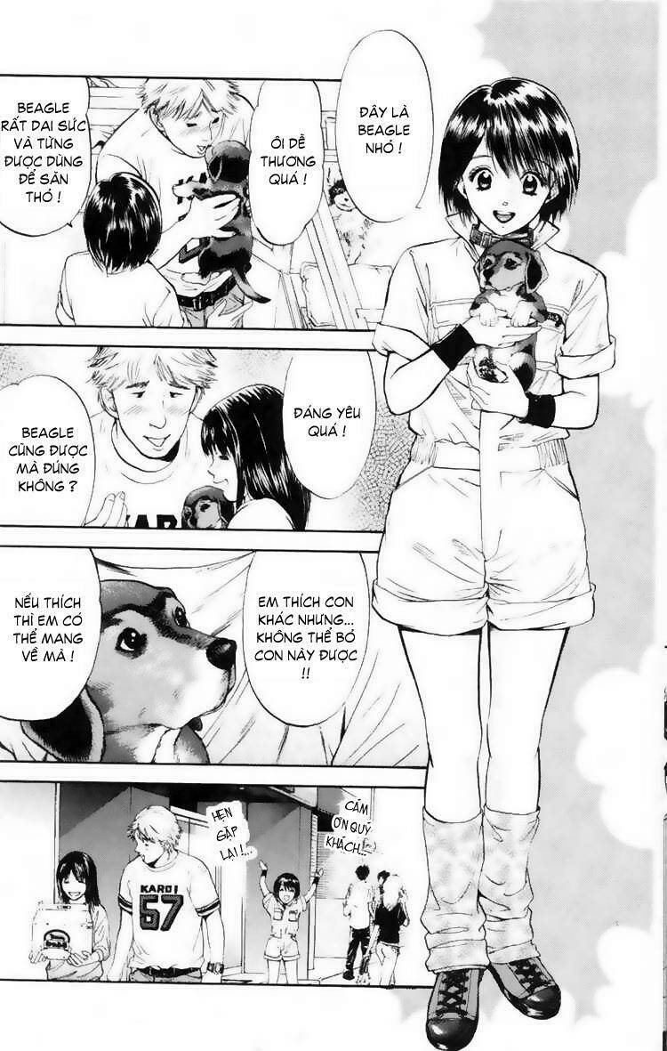 cô nàng yêu chó chapter 11 3