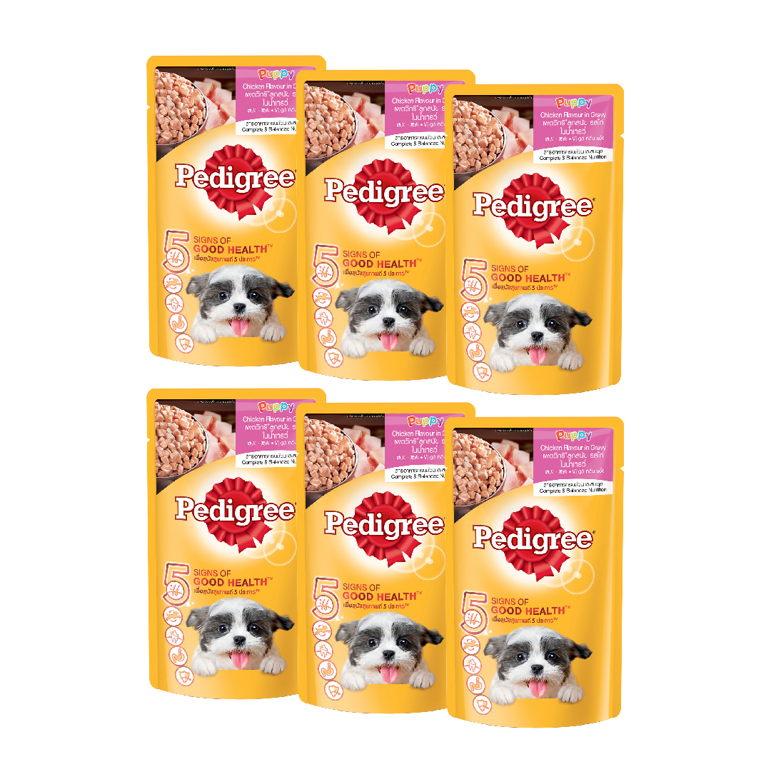 Combo 6 gói thức ăn cho chó con dạng sốt Pedigree vị gà rau củ 130g