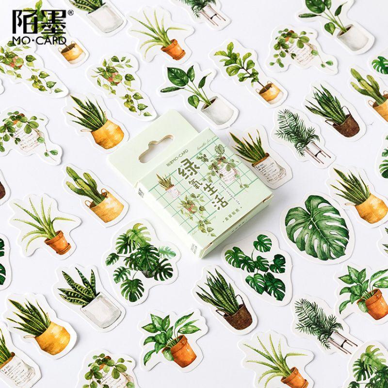 Hộp 46 sticker hình lá