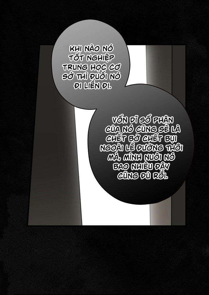 tiểu thư bí ẩn chapter 1 59