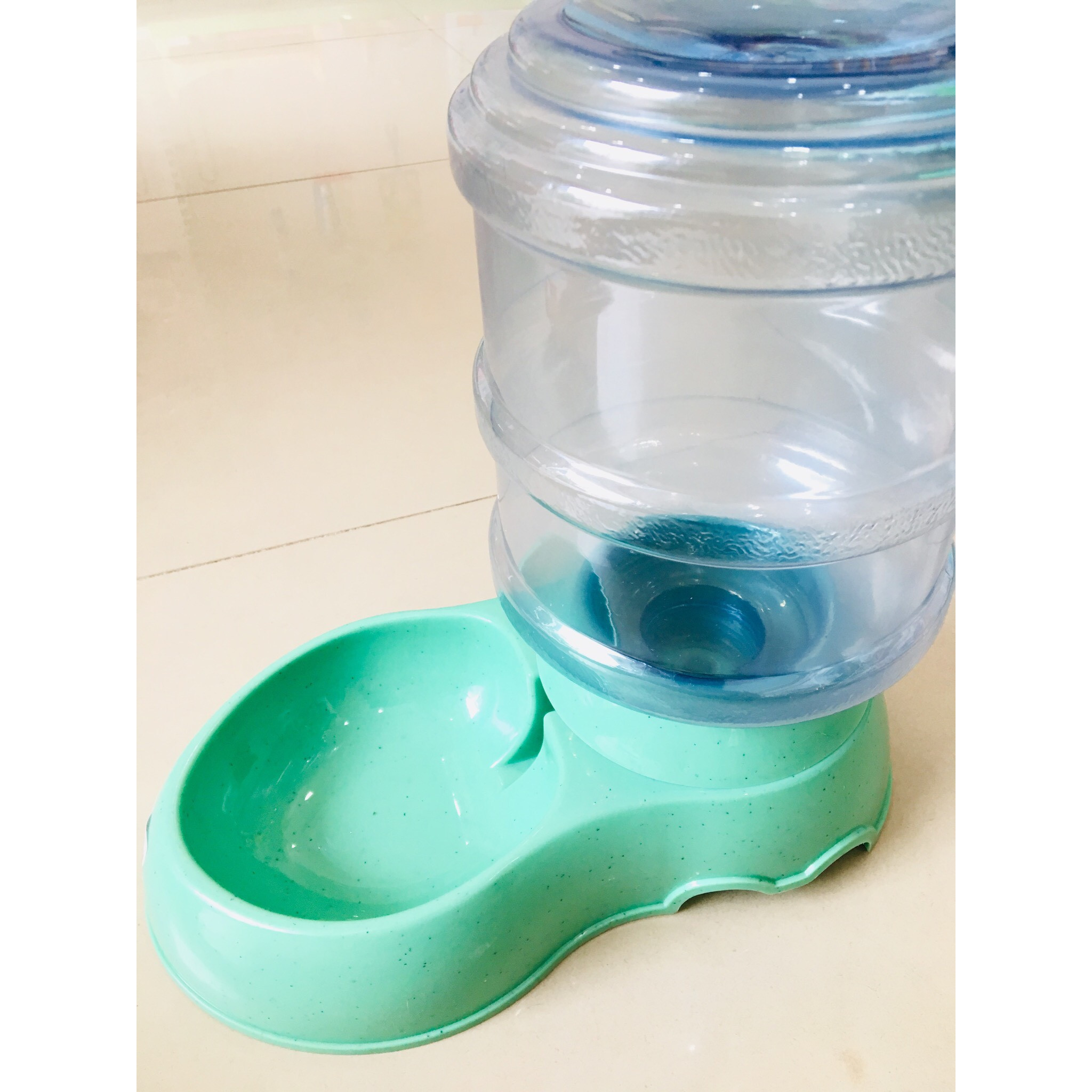 Bát ăn uống tự động cho chó mèo (Giao màu ngẫu nhiên) - Xám lục