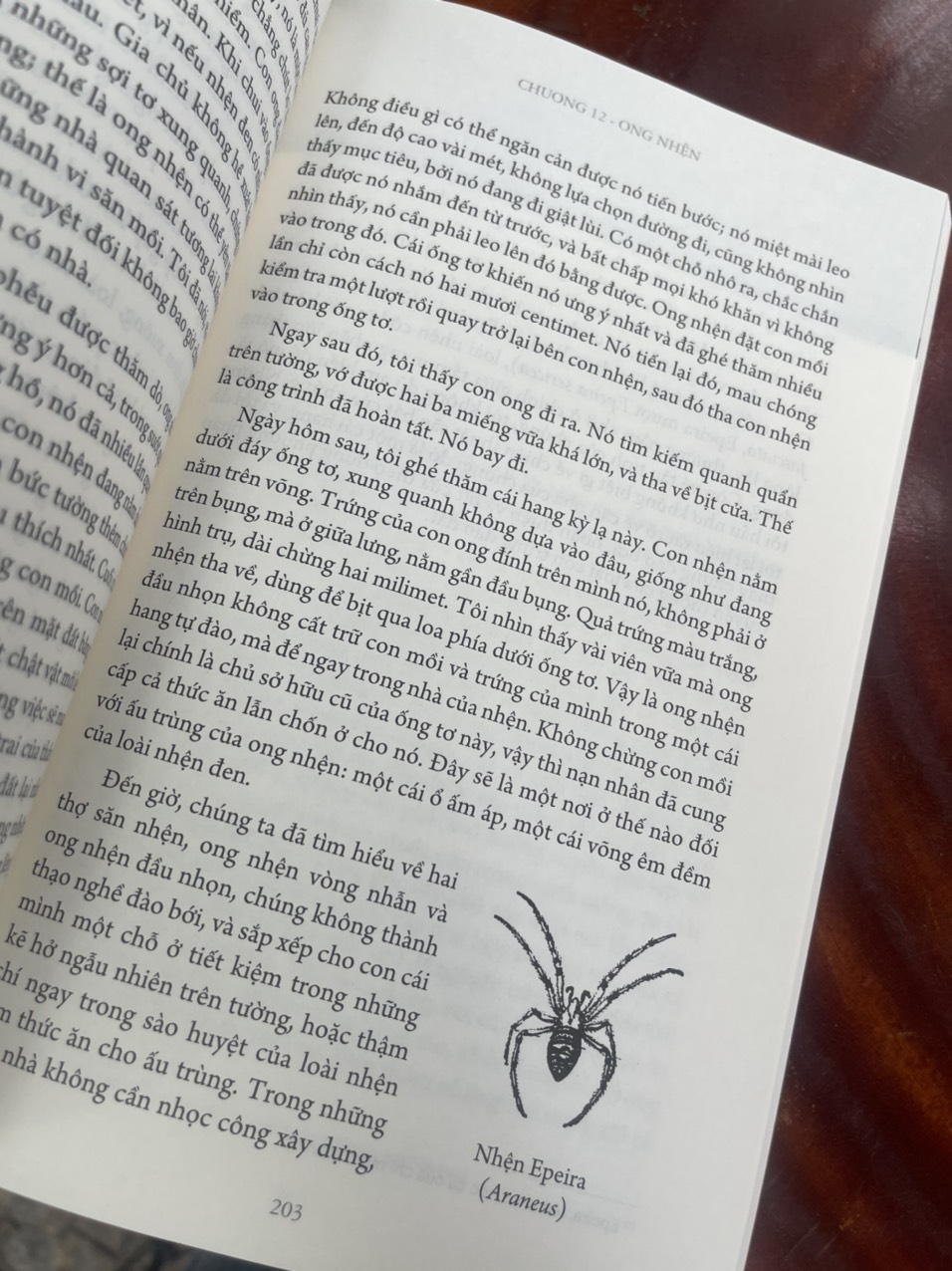CÔN TRÙNG KÝ – Tập 2 - Jean-Henri Fabre - An Lạc Group dịch – Huy Hoàng Bookstore – bìa mềm
