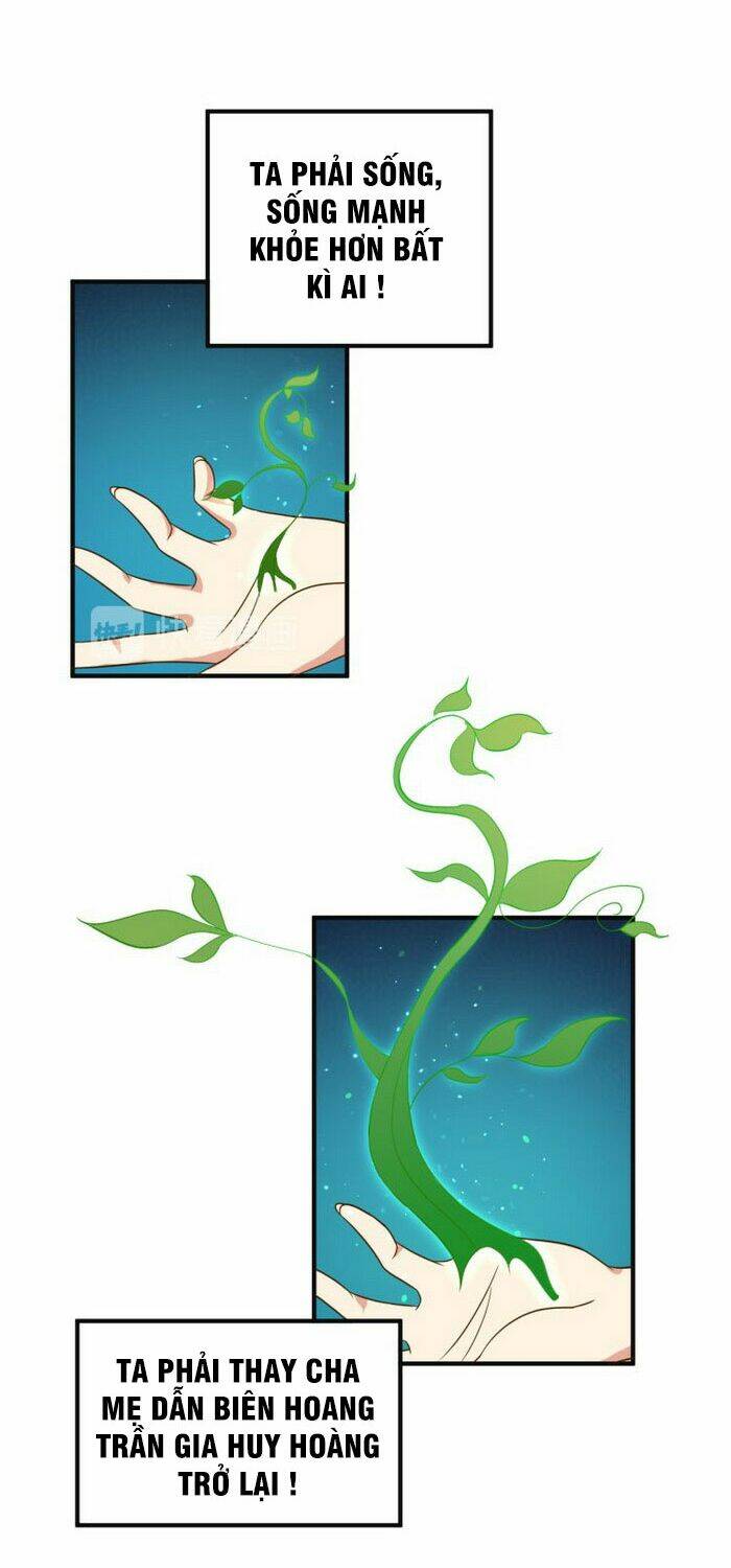 thôn phệ một thế giới tu tiên chapter 81 14