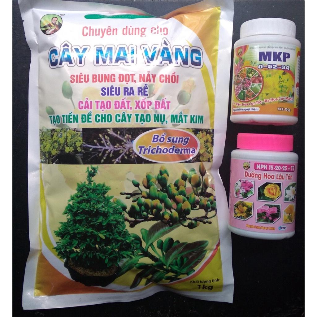 Bộ 3 phân bón kích ra hoa đồng loạt, hoa to, đều, lau tàn, cứng cho cây hoa Mai