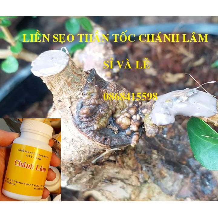 Keo liền sẹo cây chánh lâm, keo liền da cây chánh lâm Chai 130gr.