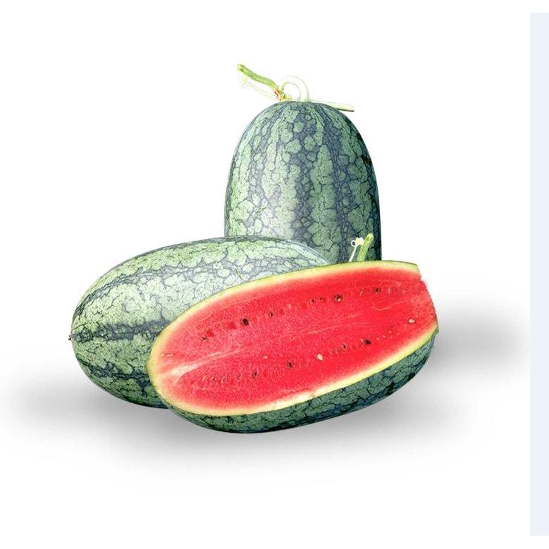 Hạt giống dưa hấu quả dài ruột đỏ-gói 10 hạt-tặng kèm gói phân bón lót