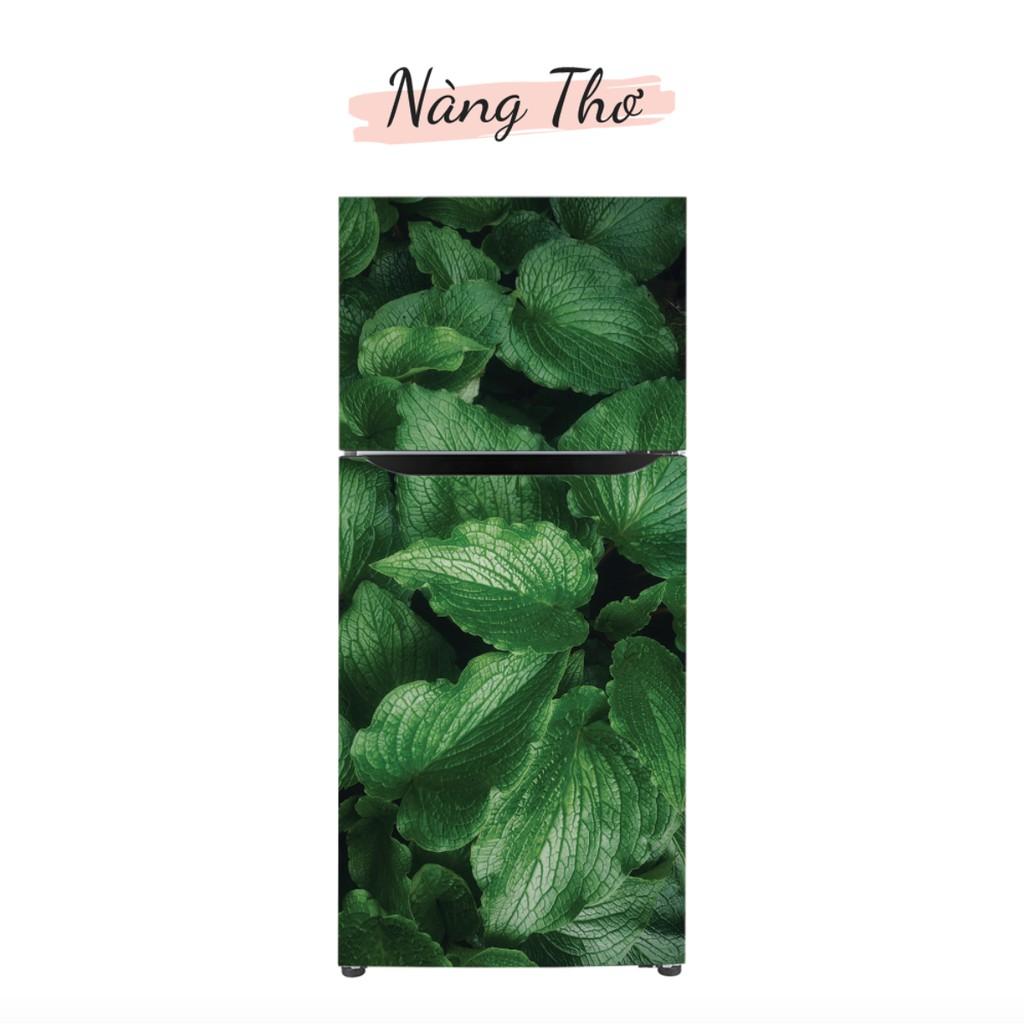 HÌNH LÁ 3D DÁN TỦ LẠNH NHIỀU KÍCH THƯỚC_DECAL VIP