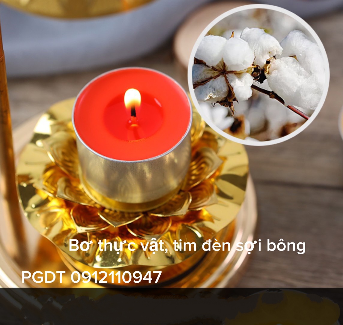 Đèn bơ cúng dường 8 giờ