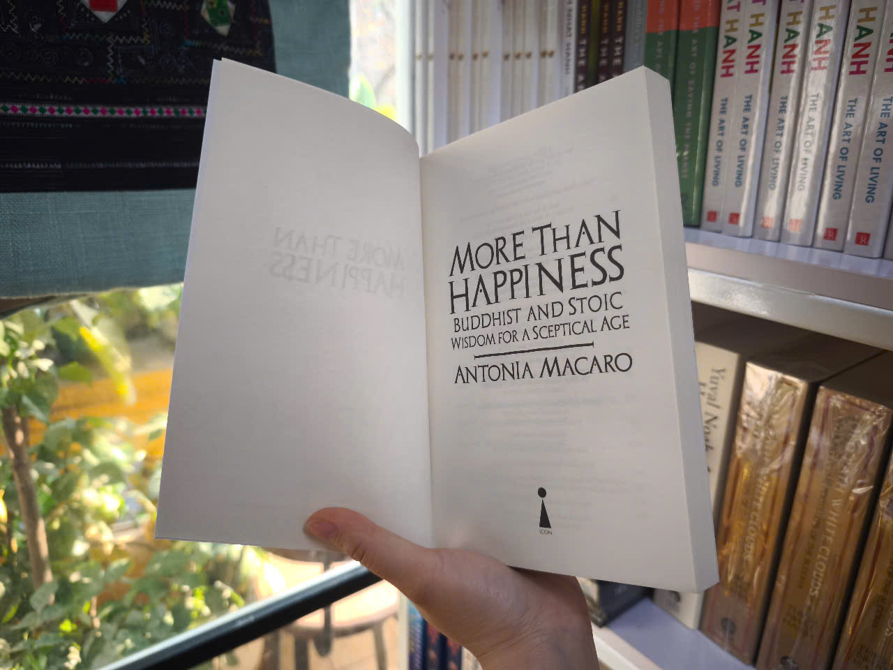 Sách - More than Happiness by Antonia Macaro - Philosophy/ Buddhism /Nonfiction in English