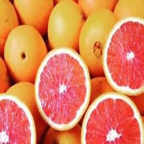 CÂY GIỐNG CAM CARA RUỘT ĐỎ KHÔNG HẠT