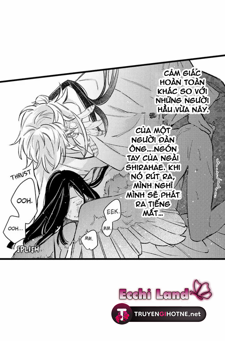 điểu thượng minh hoa chapter 3.2 4