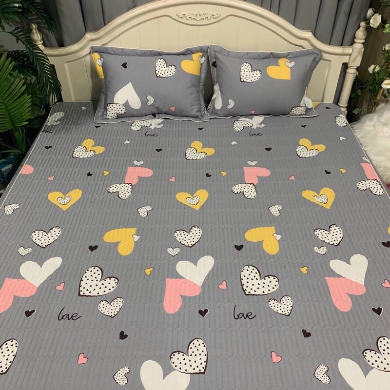 Bộ ga gối trần bông BAMBILOO cotton nhật