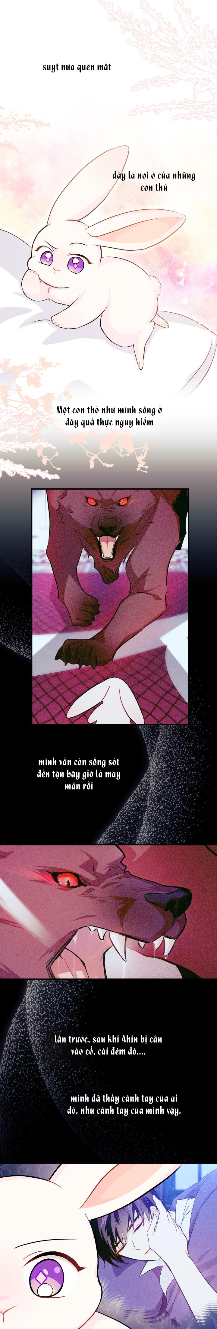 mối liên kết giữa báo đen và bé thỏ chapter 16 11