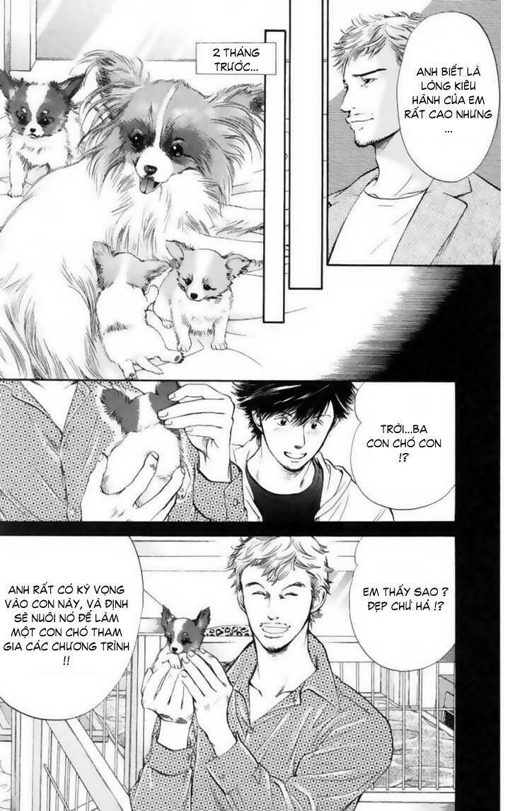 cô nàng yêu chó chapter 12 4