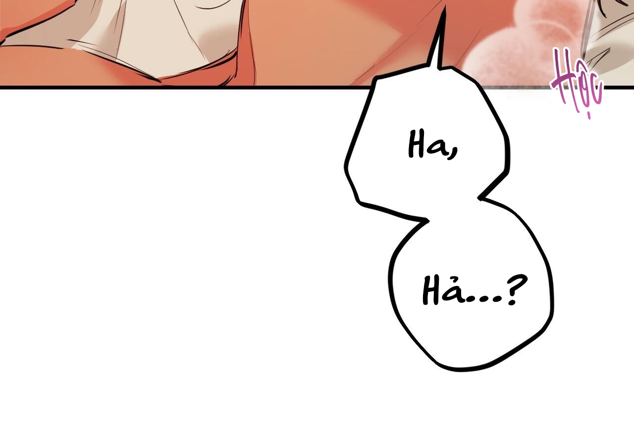 đàn thỏ của habibi chapter 29 108