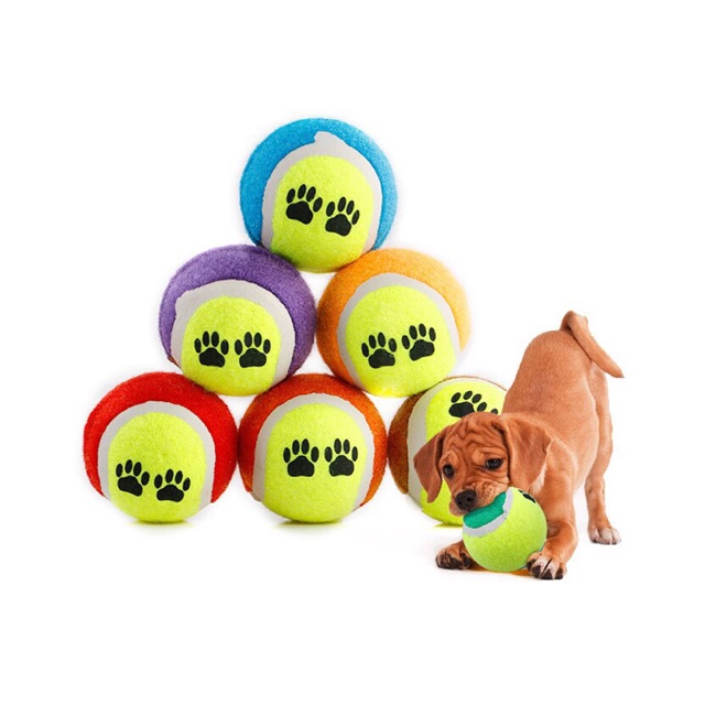 Bóng tennis đồ chơi cho chó cưng (giao màu ngẫu nhiên)