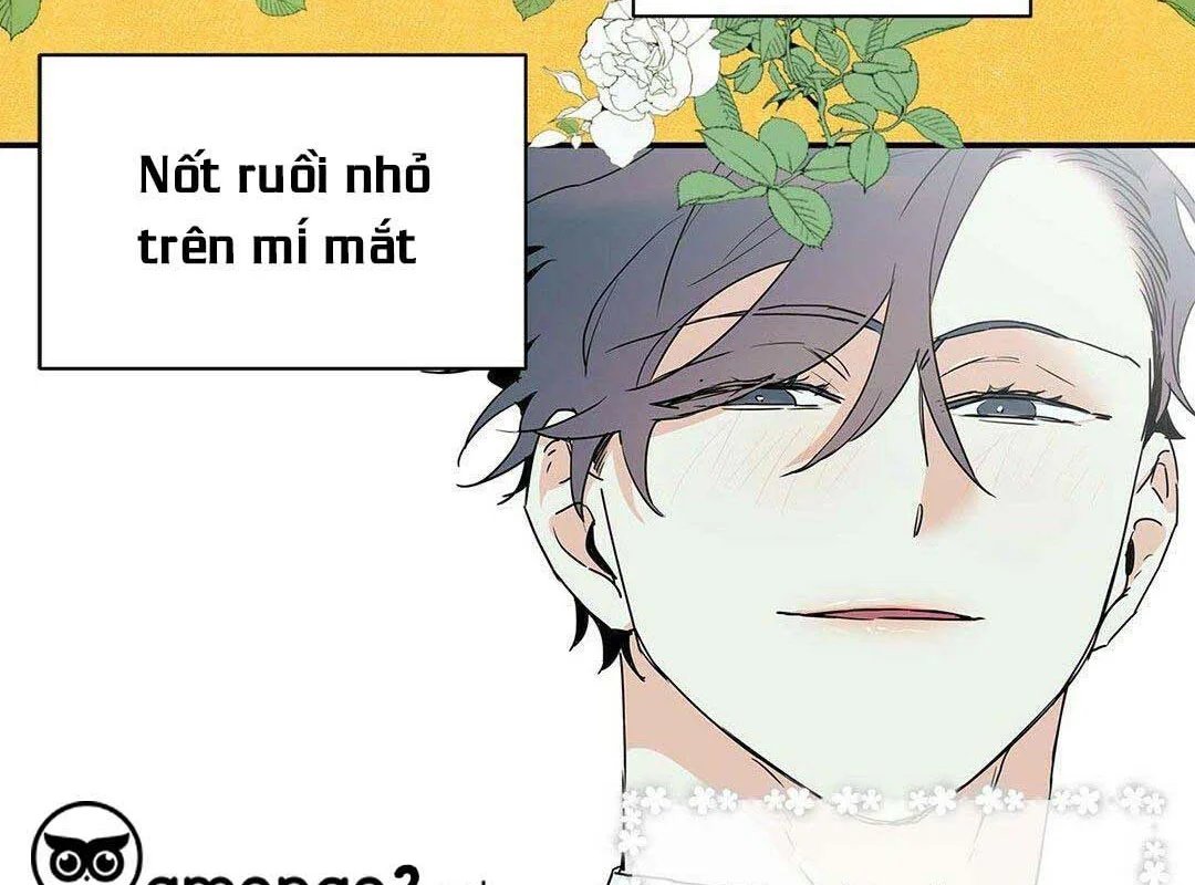 guide cấp b chapter 8 10