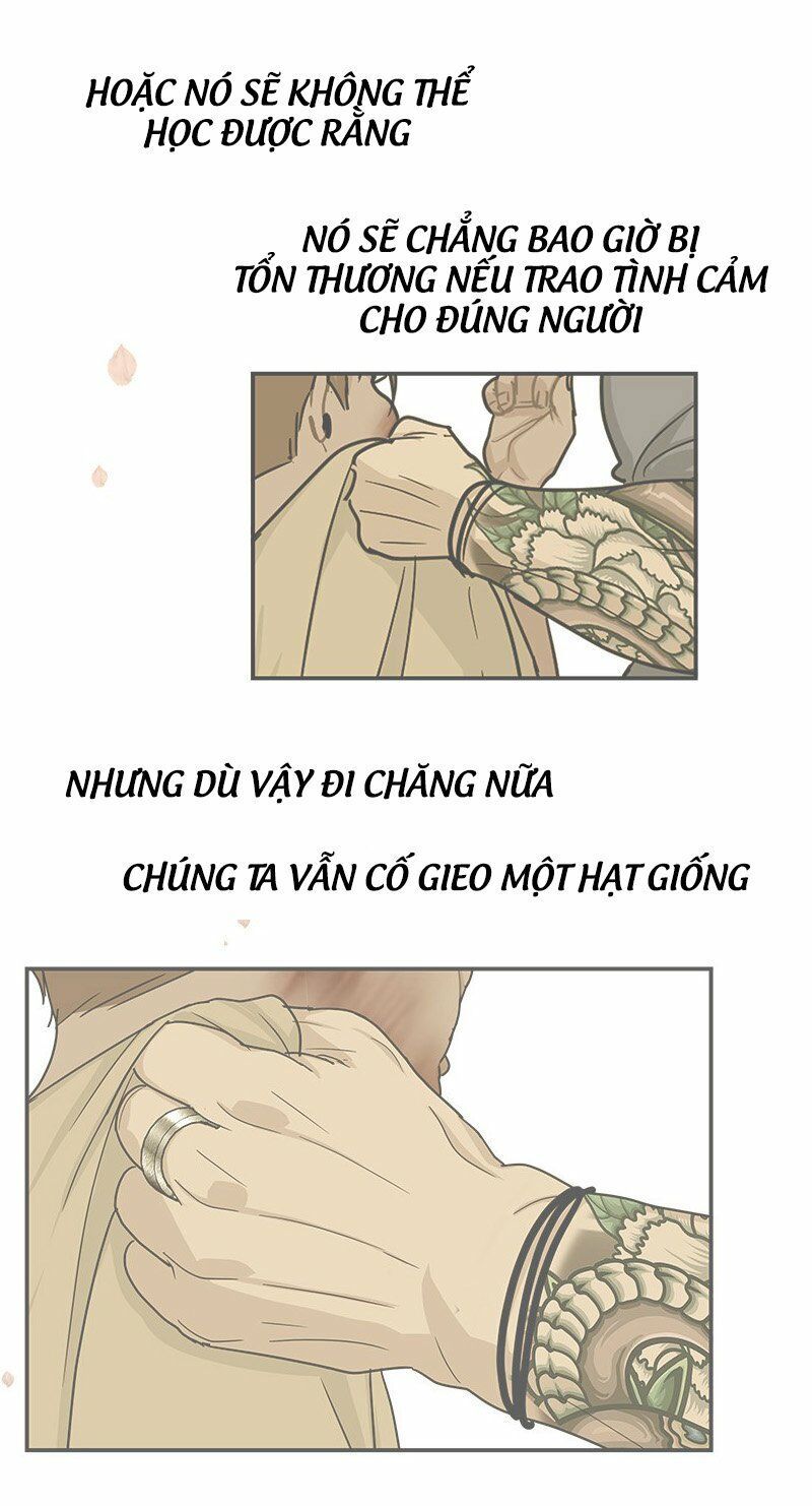 nửa đêm ở poppy land chapter 19 19