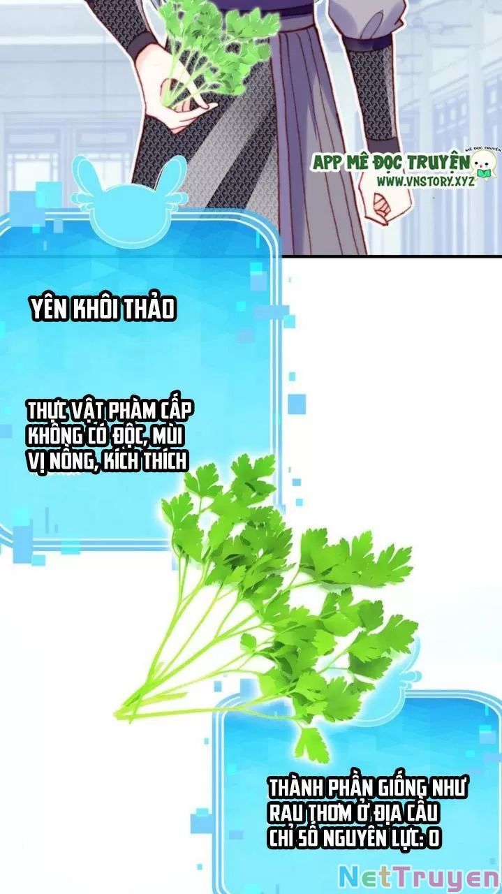 lại bị bệnh chiều chuộng quấn lấy chapter 34 5