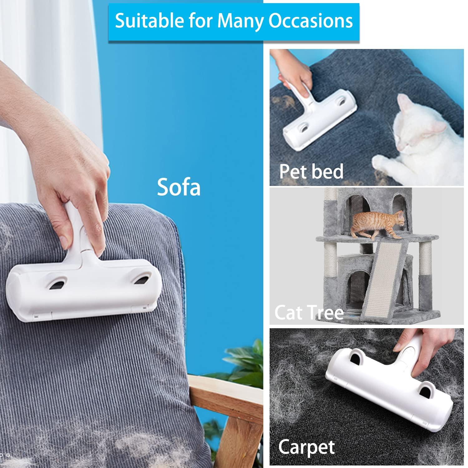 Động vật chống bàn chải Chat Dog, bàn chải nhặt diều hâu, phép thuật tái sử dụng cho tóc, con lăn tóc động vật, máy tính hóa