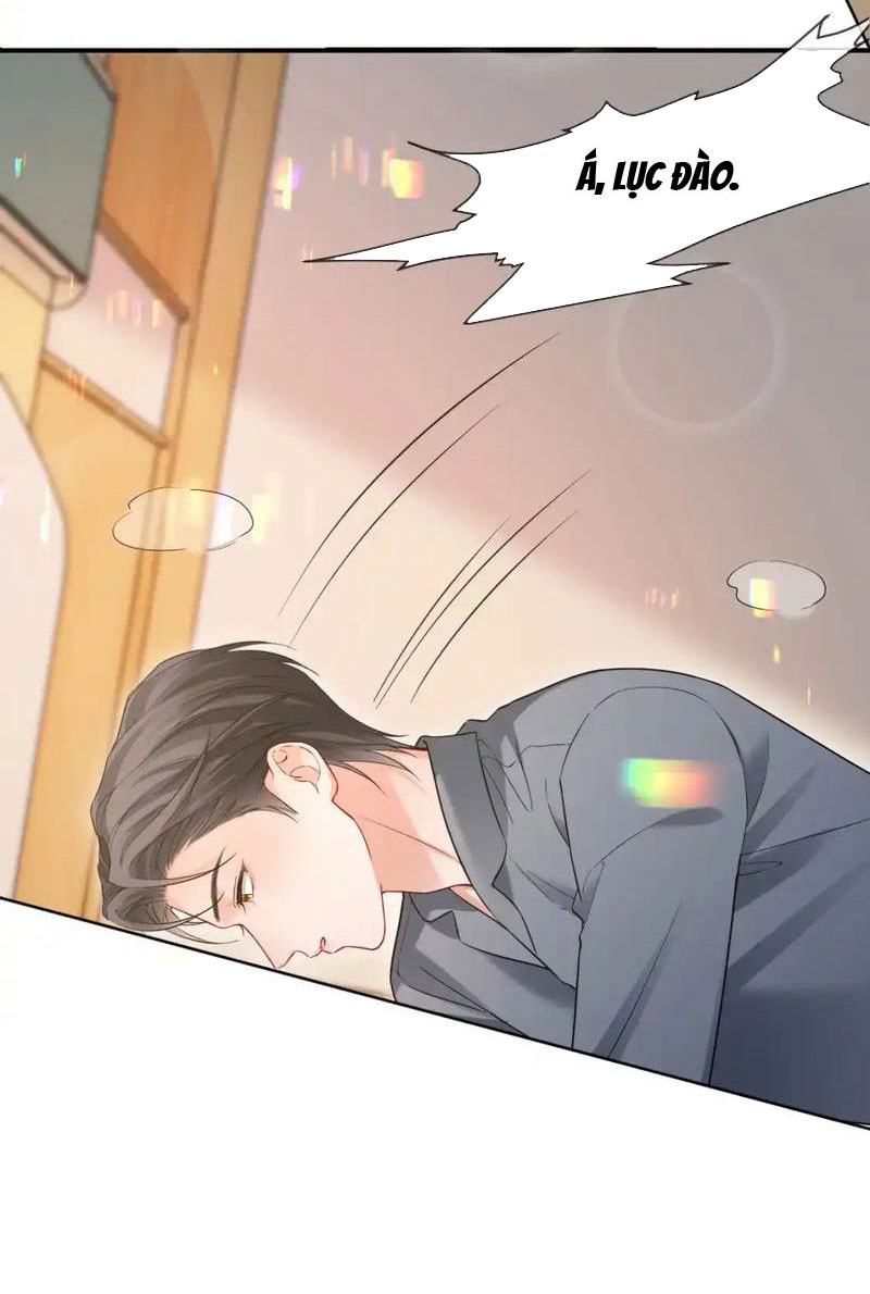 xin hãy ly hôn chapter 115 10