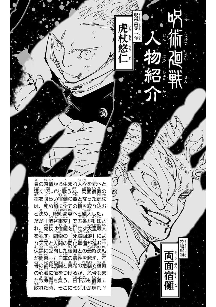 Sách ngoại văn: Jujutsu Kaisen 29 (Japanese Edition)