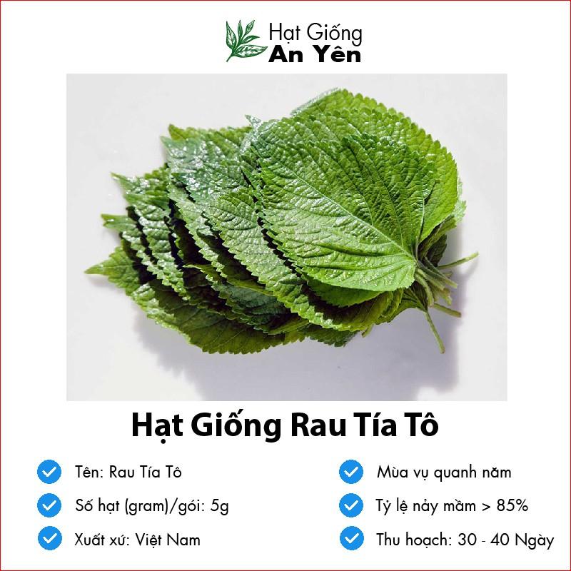 Hạt giống Tía Tô thu hoạch sớm, dễ trồng, nảy mầm cao, sinh trưởng khoẻ