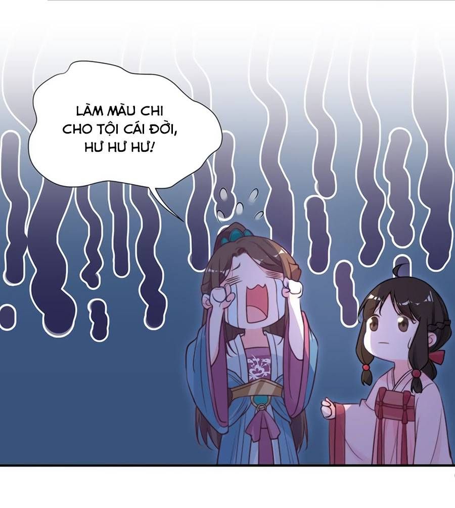 cung đấu live chapter 14 15