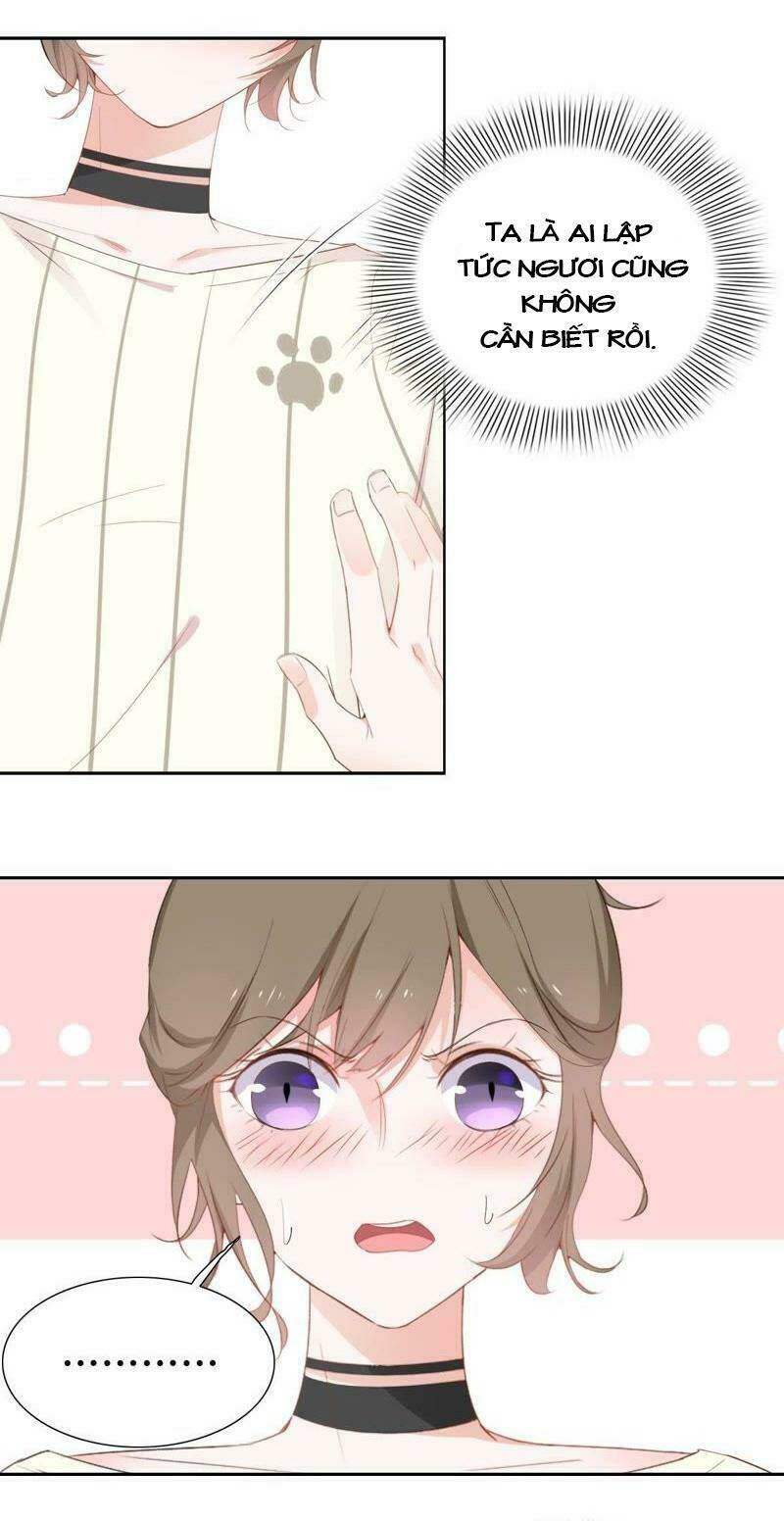 thập nhị hắc miêu chapter 2 2