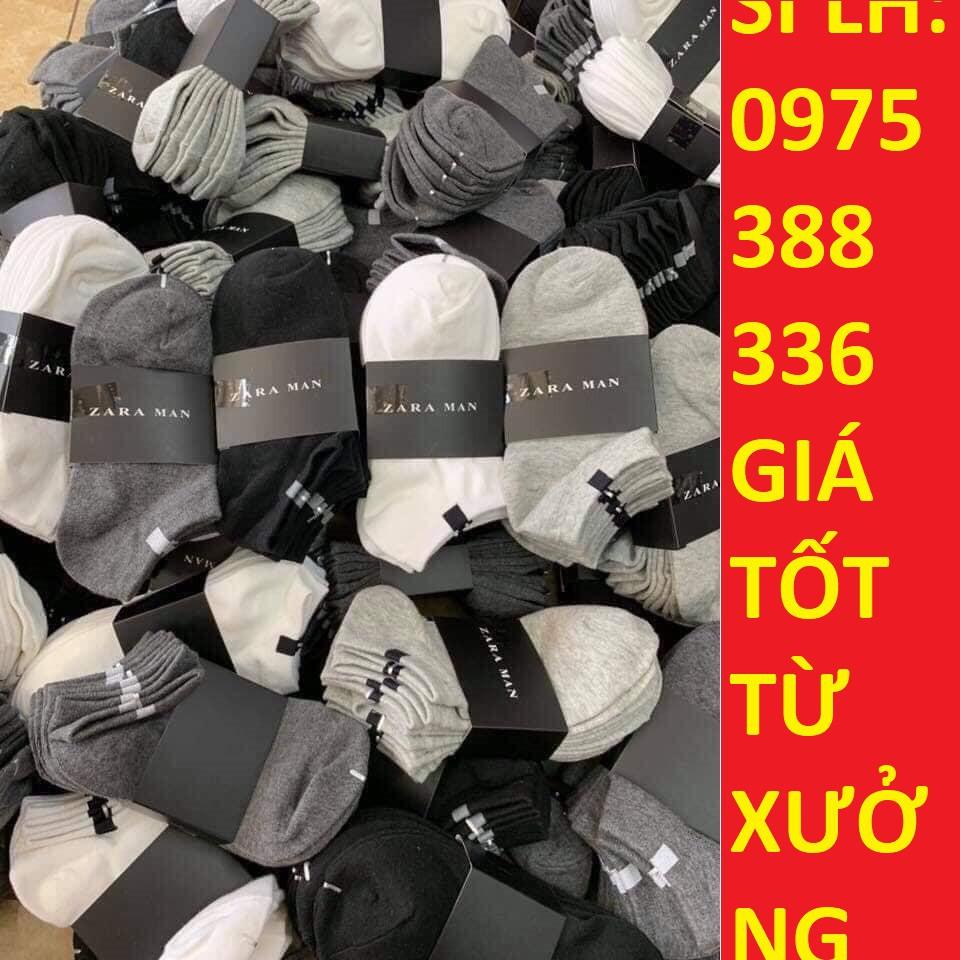 Tất Nam Nữ RAZA Trơn Cổ Ngắn Vớ Nam Thời Trang Cao Cấp Chất Cotton 100% Co Giãn Thấm Hút GC305
