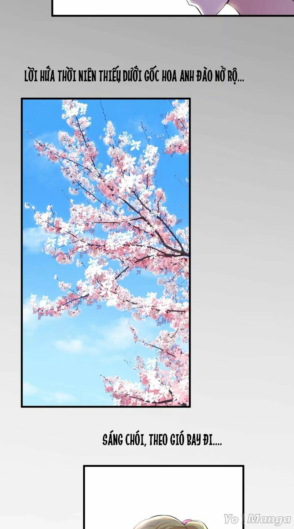 cô dâu gả thay của tổng tài chapter 46 24