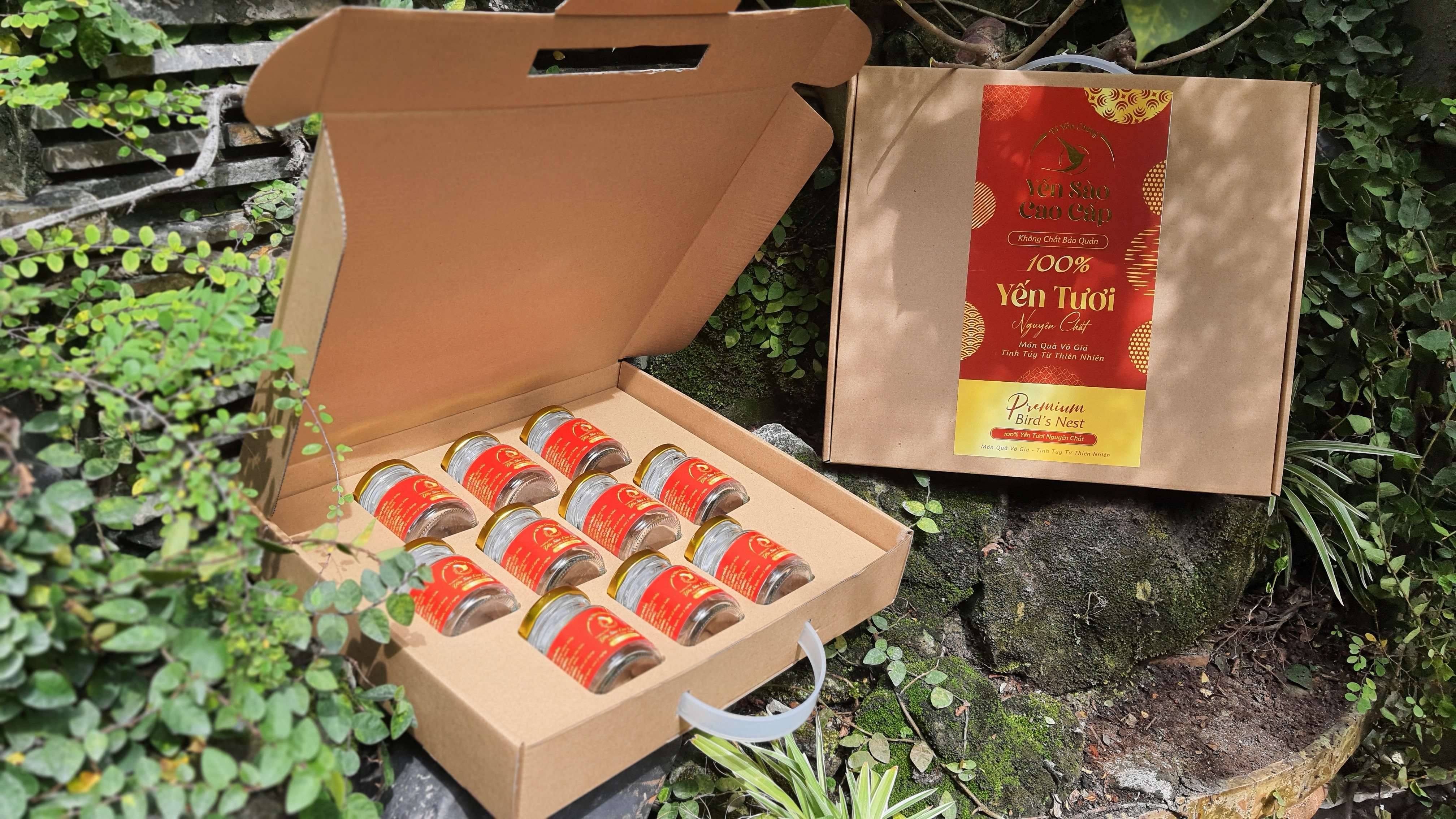 Combo Hộp giấy cao cấp đựng 10 hủ yến