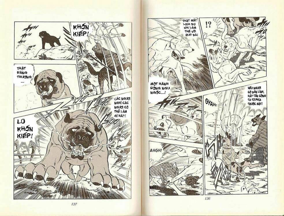 chú chó có nghĩa - ginga nagareboshi gin chapter 16 16