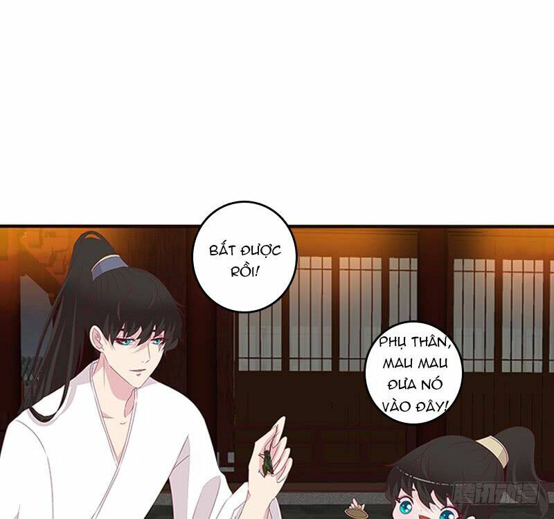 tướng quân mời ra trận chapter 117 5