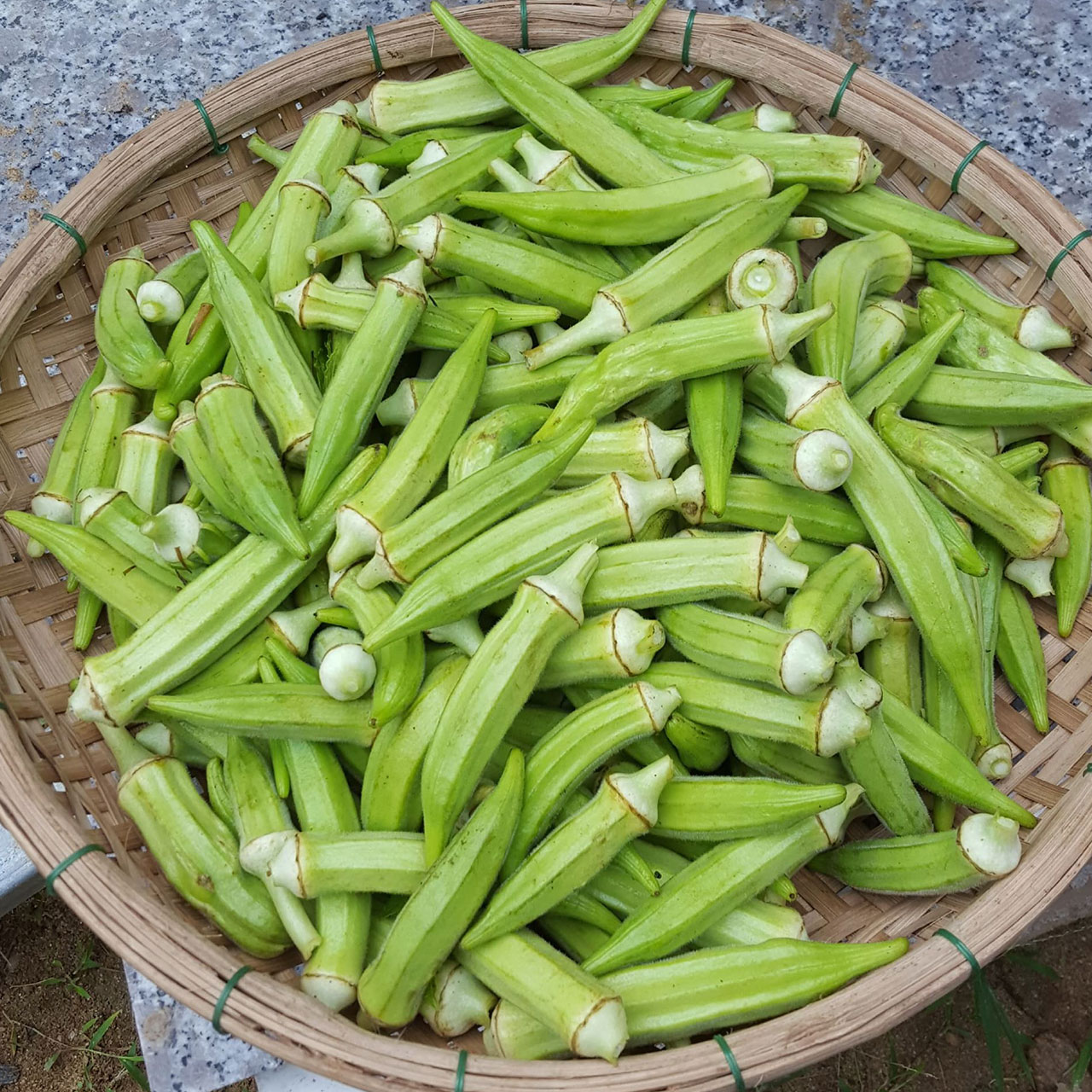 Hạt Giống Đậu Bắp Cao Sản Phú Nông Gói 10 Gram