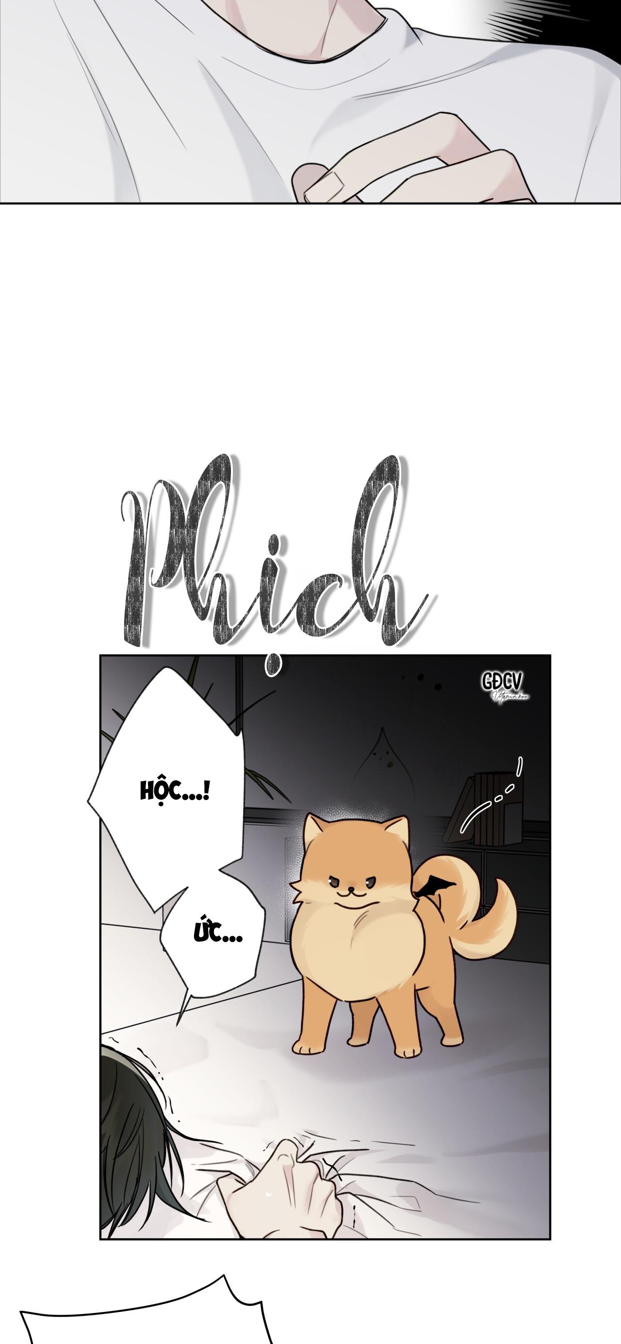 hiểm họa guiding chapter 8 21