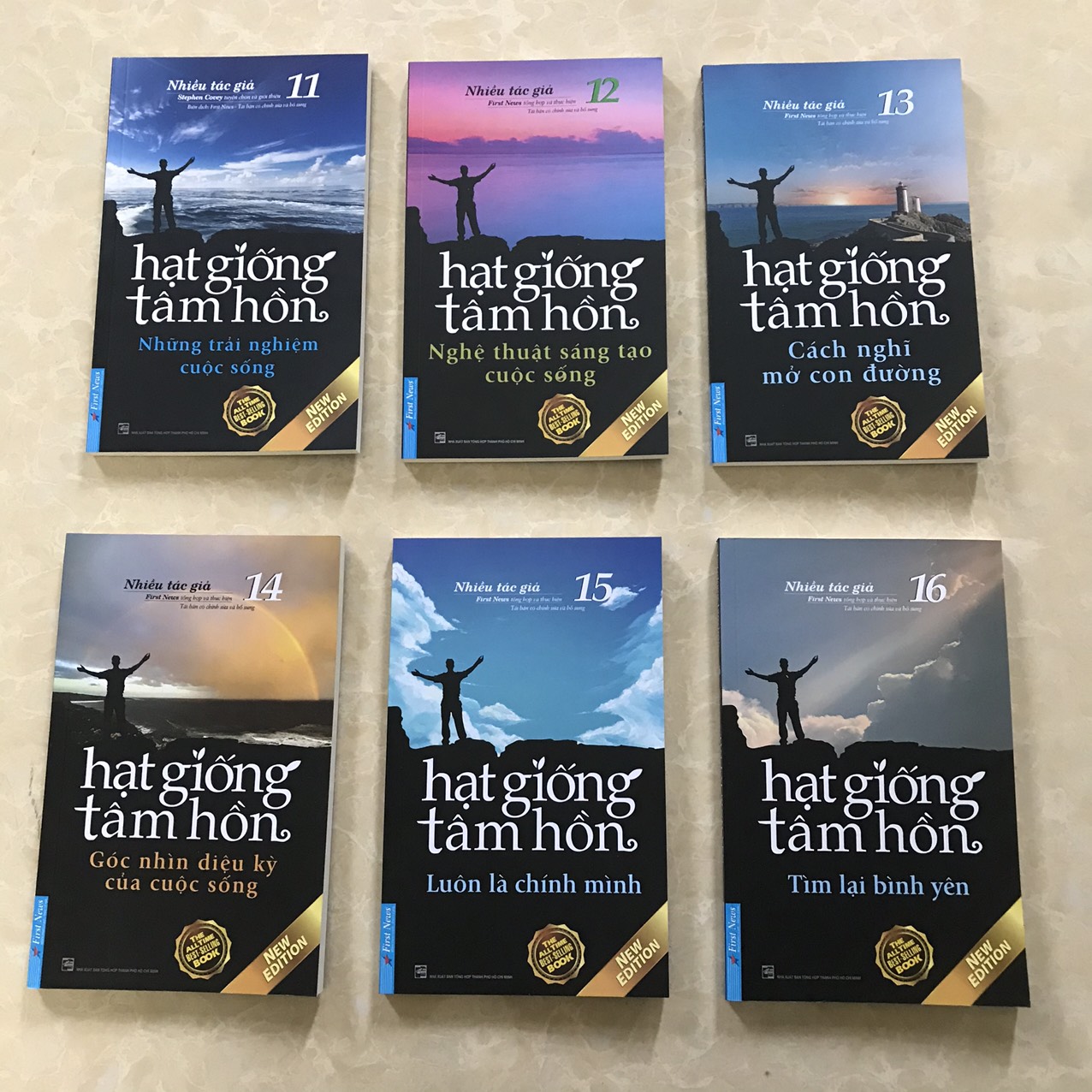 Combo 06 cuốn Hạt giống tâm hồn 11-16