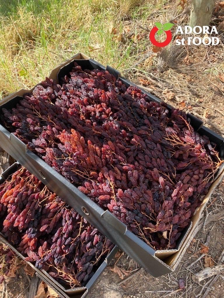 Nho khô nguyên cành THOMPSON Úc Dried Grapes Adora st Food (mẫu Quà Tết 1kg/hộp) ngon, bổ dưỡng, giàu vitamin, khoáng chất tự nhiên-QuaTangMe Extaste