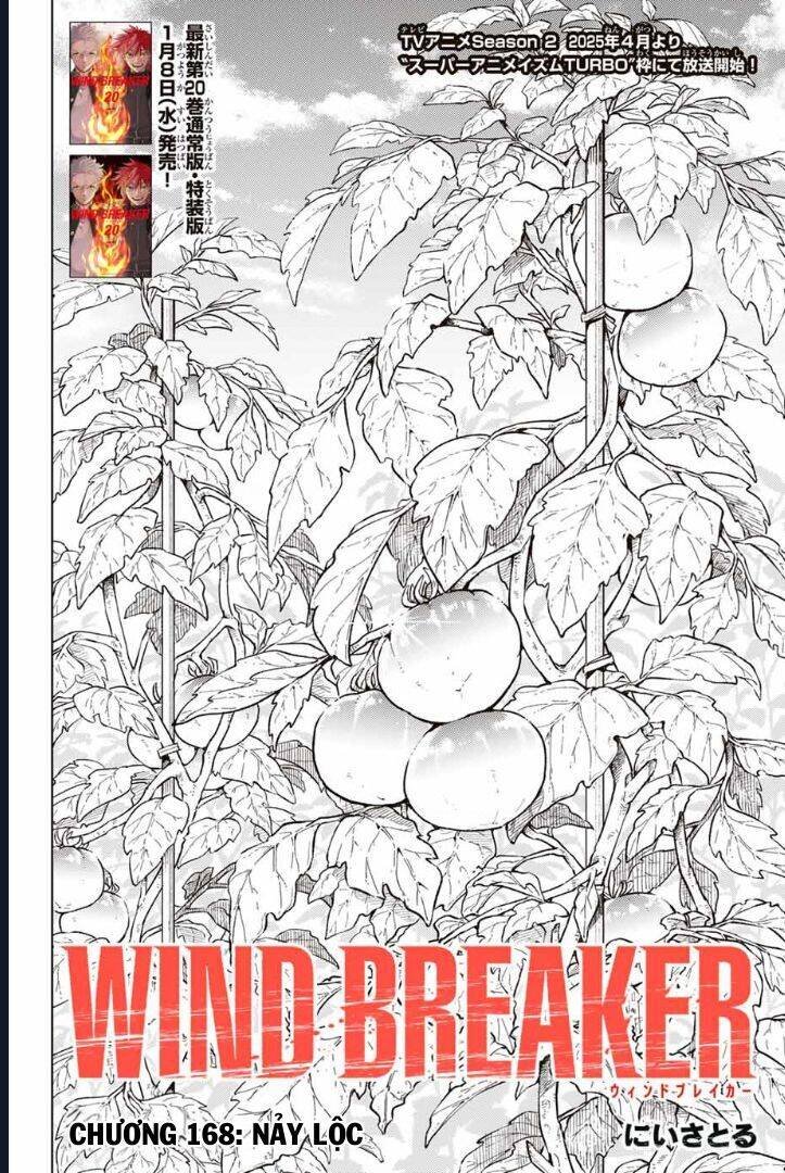 wind breaker chapter 168 3