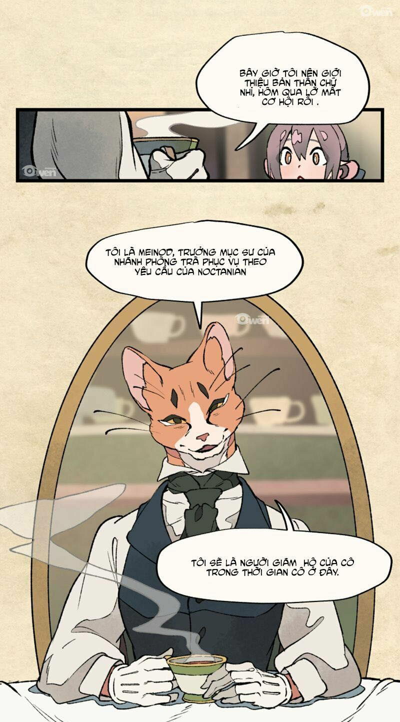 nơi mà ngôi sao băng rơi xuống, hãy đợi ở đó chapter 14 21