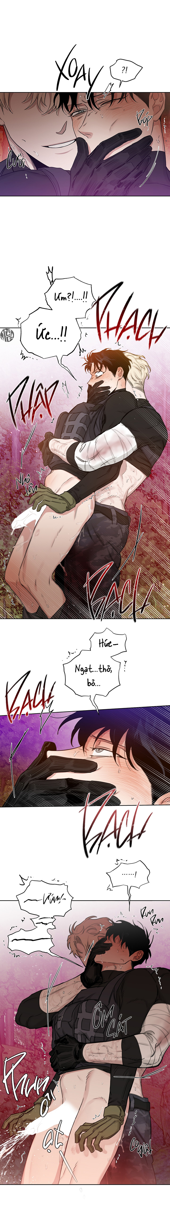 đoá hồng và ly champagne chapter 0.11 13