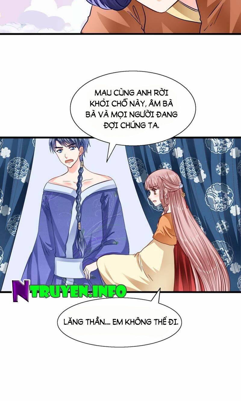 tôi bị gấu trúc nhìn trúng rồi chapter 26 28